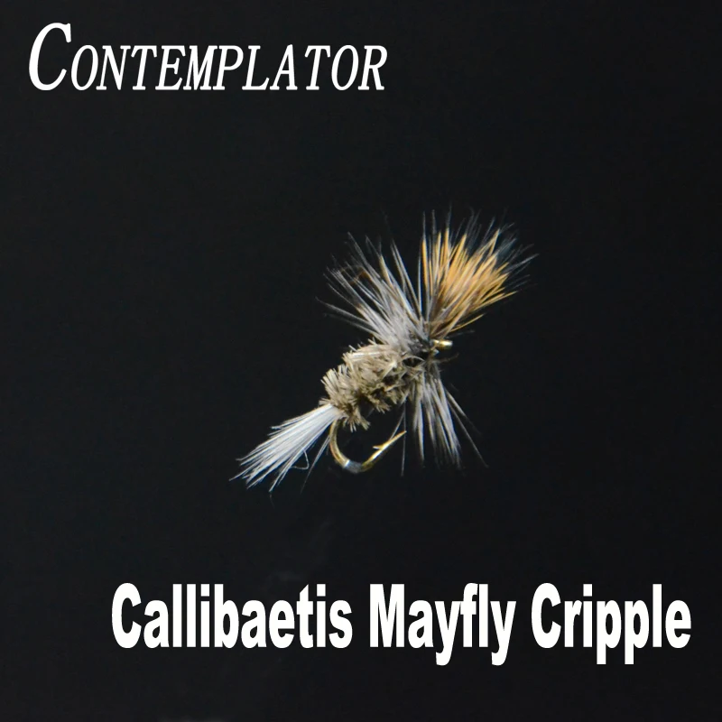 Kontemplator 5 sztuk/pudło 16 # Callibaetis Mayfly okap wschodzące mayflies sucha mucha przynęty sztuczne fly fishing fałszywe muchy przynęty