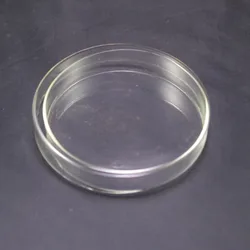 Platos de Petri de vidrio de borosilicato transparente con tapas, 60mm