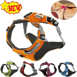 NUOVO Riflettente Cablaggio Del Cane Accessori Per Animali Pet Dog Training Vest per Piccoli Cani di Grossa taglia Regolabile Professionale Cablaggio arnes perro