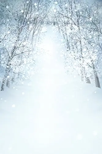 

5x7ft Forest snow path Christmas Photography Photo Backdrop