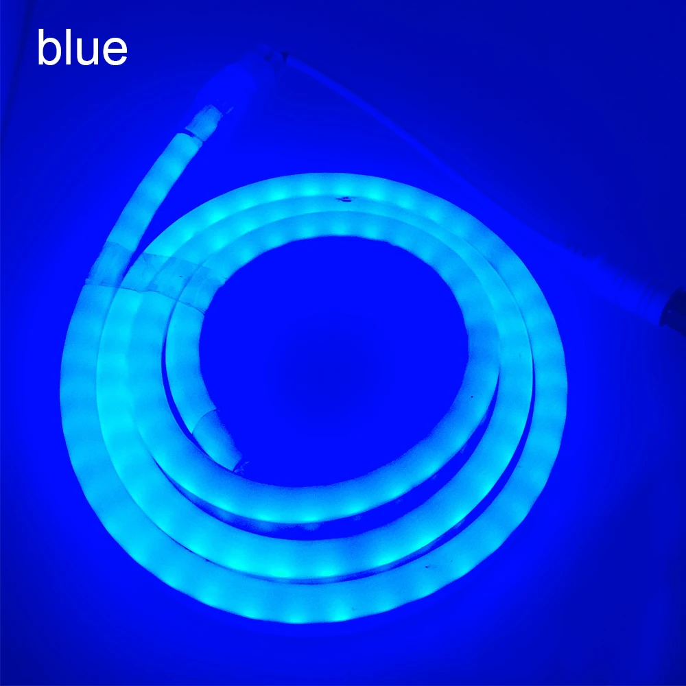 1M-100M 12V LED Neon Strip Light with DC Plug BSOD 2835 120leds/m White Red Green Blue Rope Waterproof EI Wire Tube Sign lamp