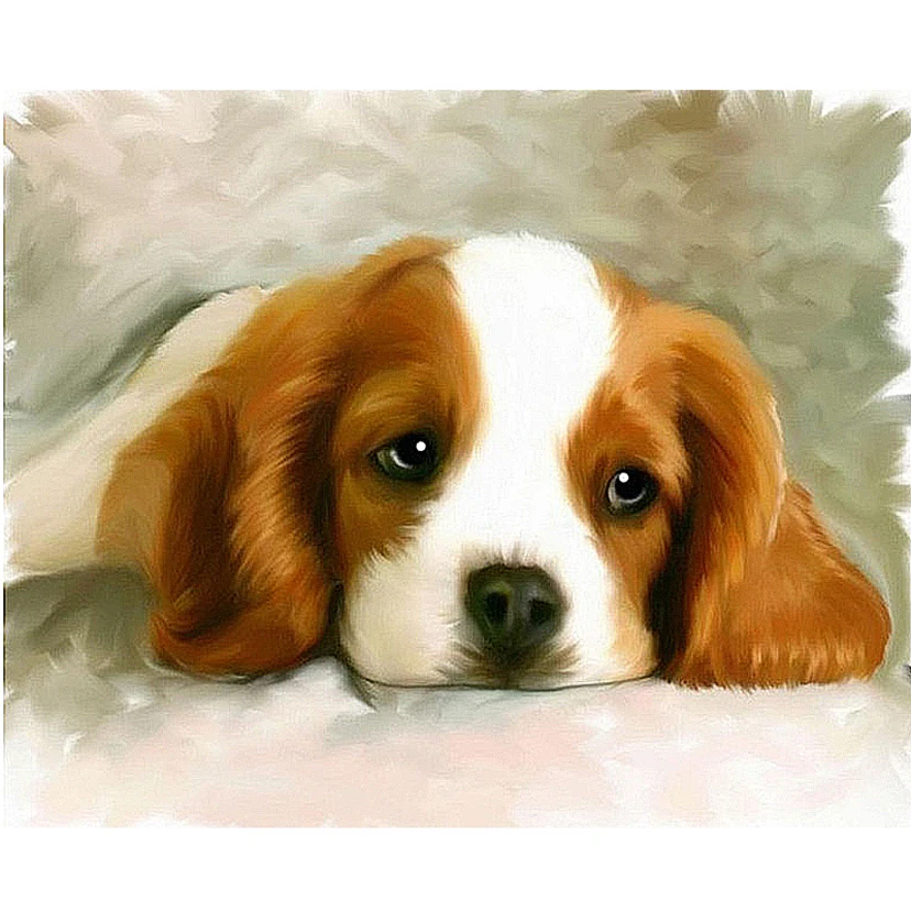 

Full Square Drill 5D DIY Diamond Painting "Animal dog" handmade 3D Diamond Embroidery set Cross Stitch Mosaic Decor gift WG1169