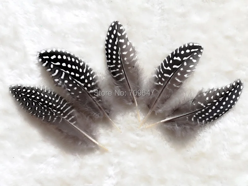 

Guinea Feathers,100Pcs/lot!7-10cm NATURAL Guinea Fowl Small Quill Feathers,Loose Guinea Polkadot Feathers For Crafts Making