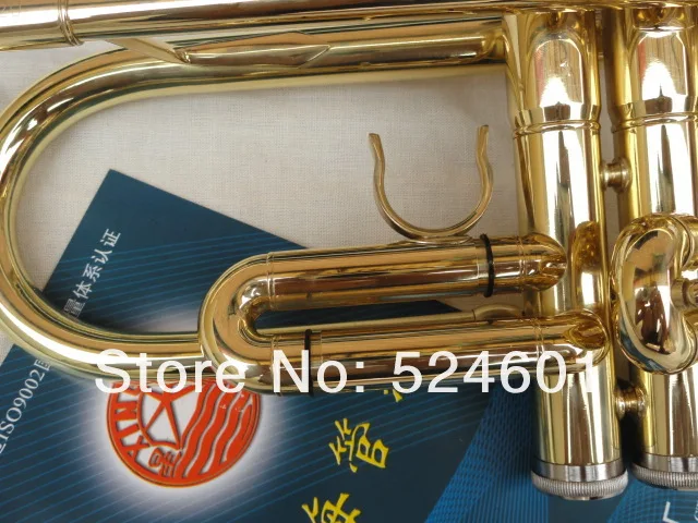 Brand Instrument Xinghai XT-120 Brass Gold Plated Surface Small Bb Trument For  Beginners Bb Trumpet With Case Mouthpiece