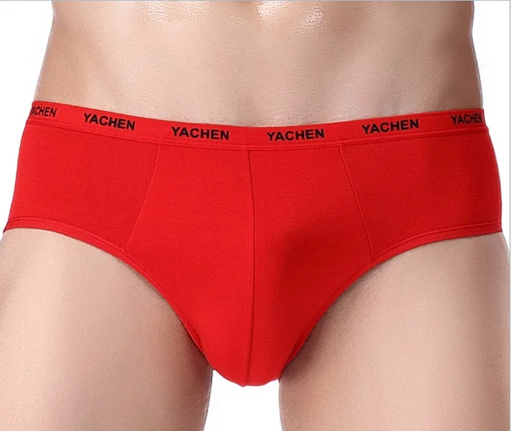 5 Colors Mens Modal Briefs Breathable Male Healthy Underwear High-Quality Men Underpants 1 piece