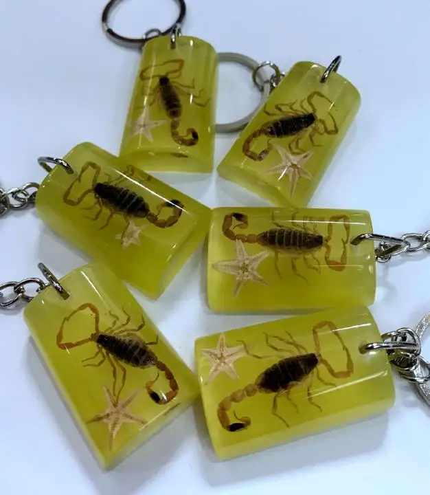 

FREE SHIPPING yqtdmy 12 pcs newest jewelry insect Scorpion magic KeyChain