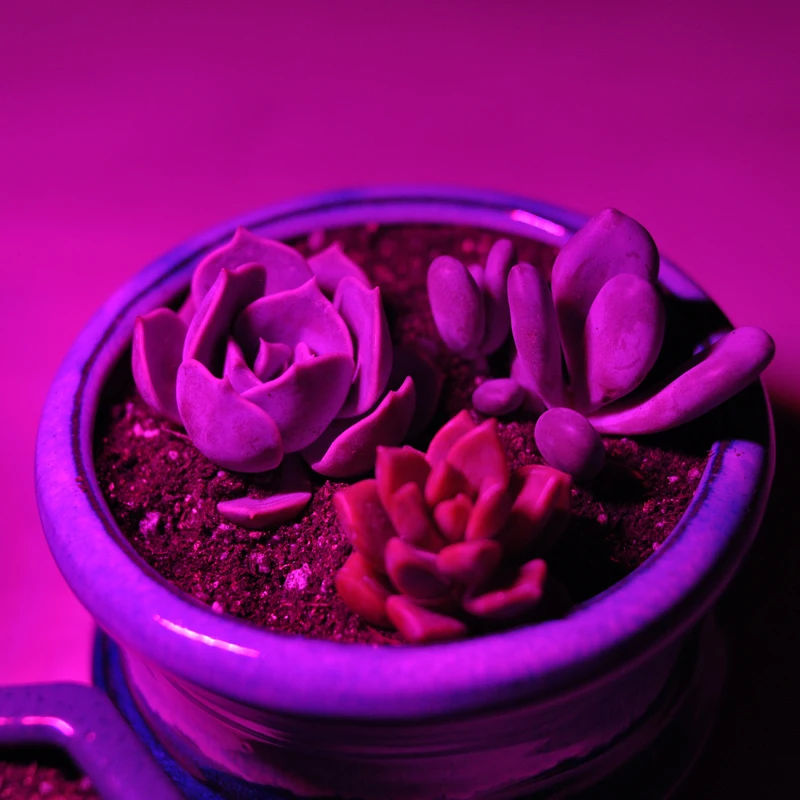 High Power Plant Lamp USB 5v Red and Blue LED Greenhouse Plants Hydroponics Flower Panel 4.8W with Support Hose USB Metal Tube - usage example