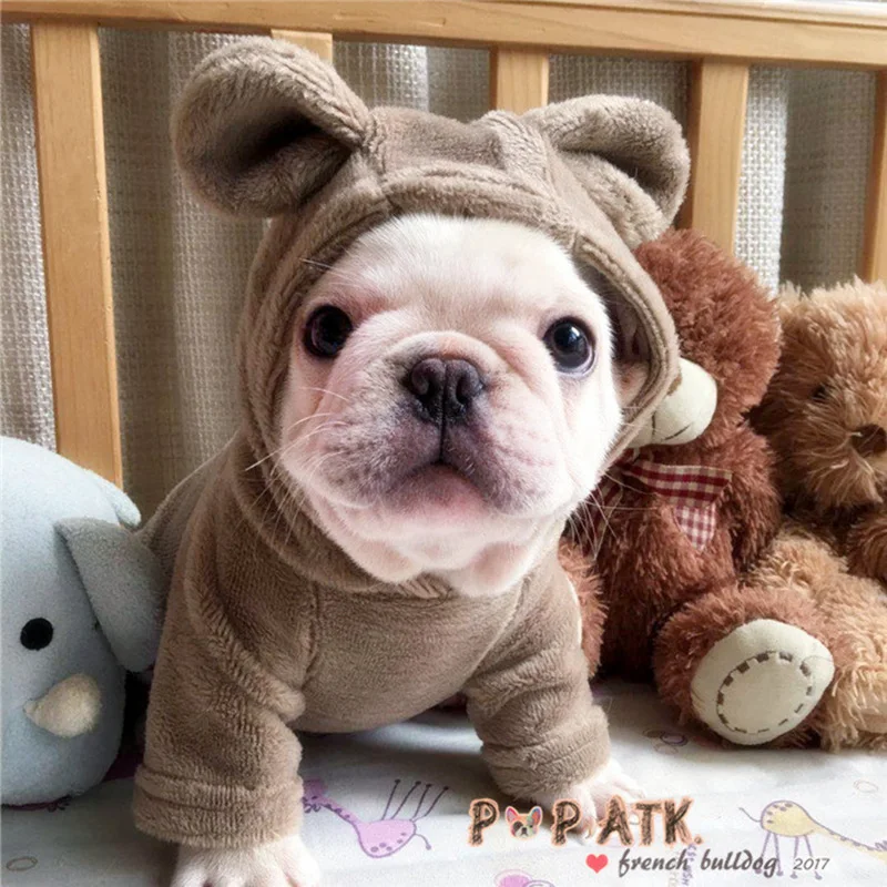 [MPK Store] NMF Series Dog Clothes Cat Clothes  Dog and Cat Sweater French Bulldog Clothes with Bear Ears, 7 Sizes in 3 Colors