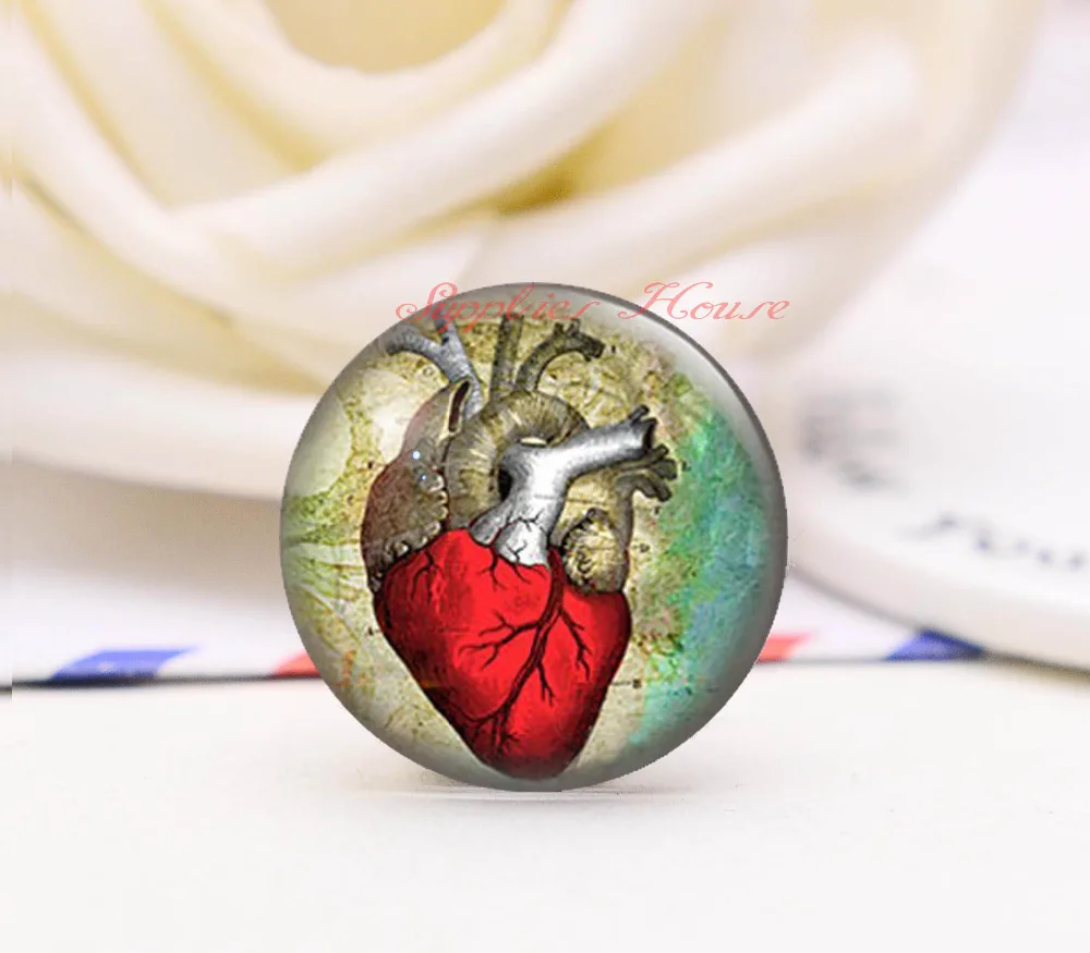 Handmade Round Cardiac Organs Photo Glass Cabochons, Jewelry Finding Cameo Pendant Settings, (F84-1845)