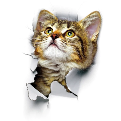 Leuke katten muursticker Hole View Levendige honden badkamer 3D toiletstickers voor huisdecoratie dieren stickers zelfklevende poster
