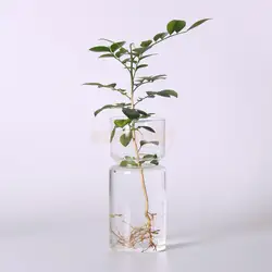 Przezroczysty hiacynt szklany wazon doniczka DIY Terrarium pojemnik Decor