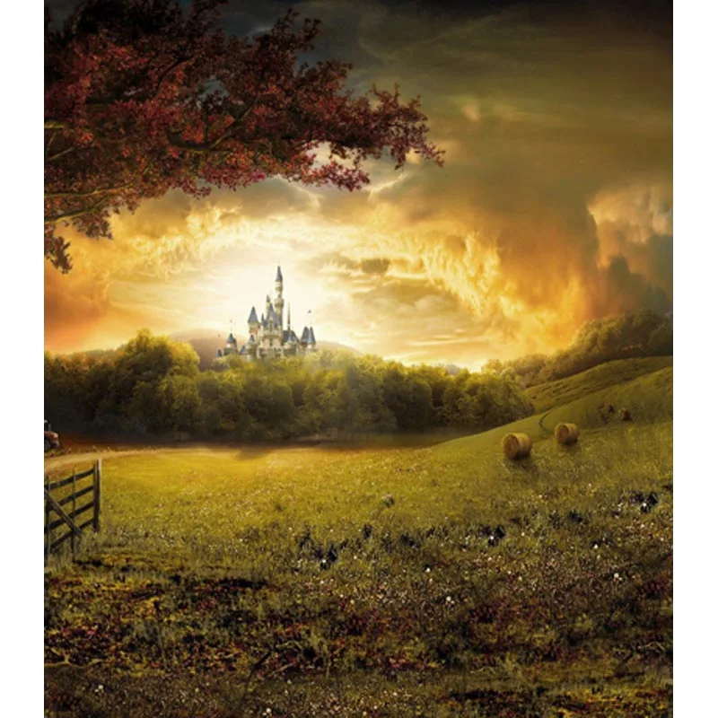 

Castle in the sky background photography vinyl Photo backdrops for fairy photo studio photography props backgrounds CM-6755