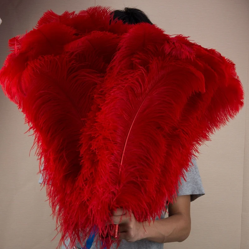 

Asia Ra First Grade Red colour Dyed Big Pole Ostrich feathers size range 50- 55cm long Wedding Centerpieces Carnival Decorations