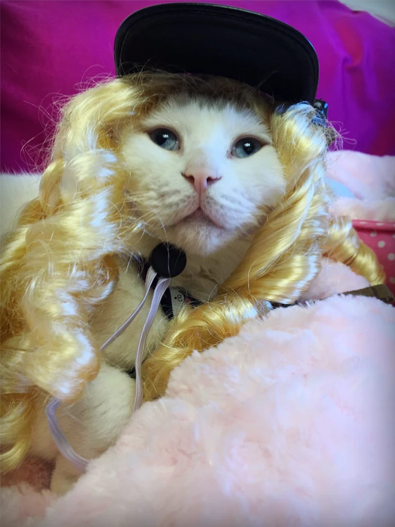 [MPK Pets] Cat Wig Pet Golden curls Wig Cat hat