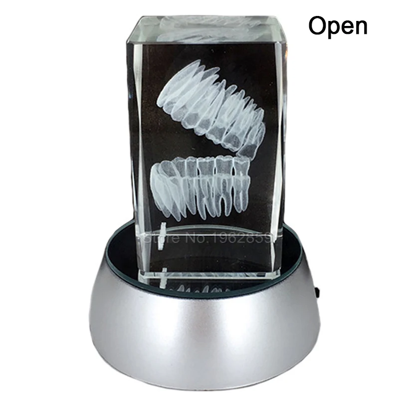 Dental 3D Tooth Model Clear Crystal Stand With LED Lamp Character Teeth Colorful Child Oral Souvenir Gift Decorarion