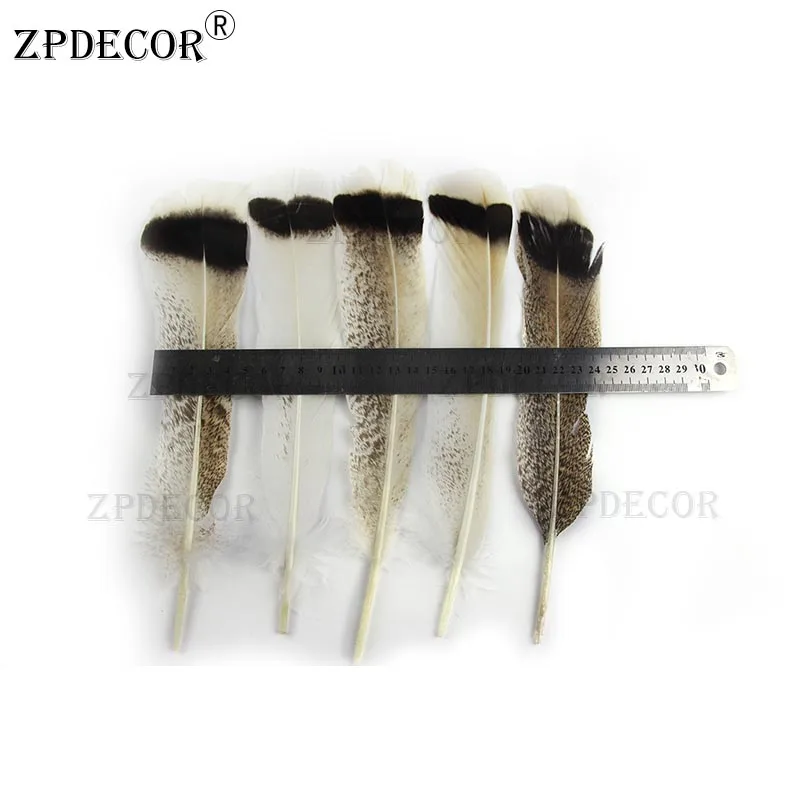 ZPDECOR Turkey Flat Feather White 25~30 CM/10-12 Inch