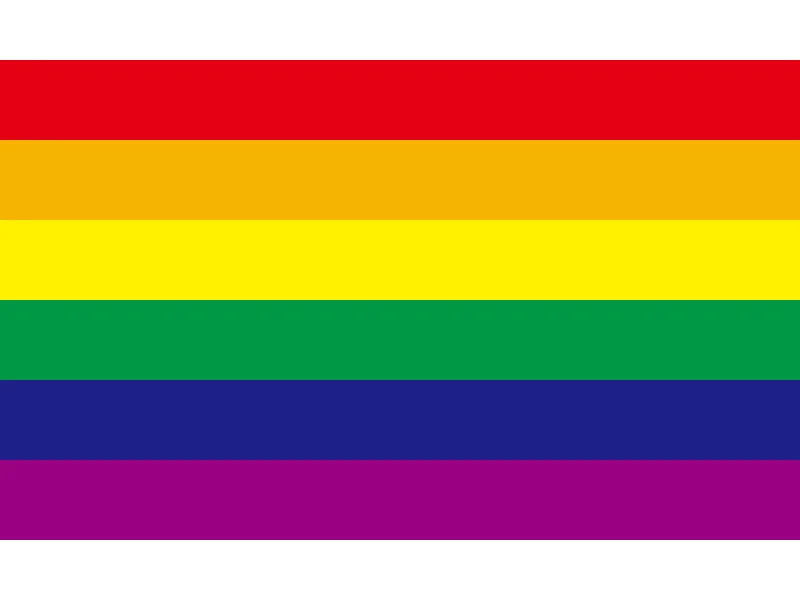 20 Gay Teen Flag 3X5ft Polyester Banner Flying 150*90cm 60*90cm Rainbow gay pride LGBT Flags