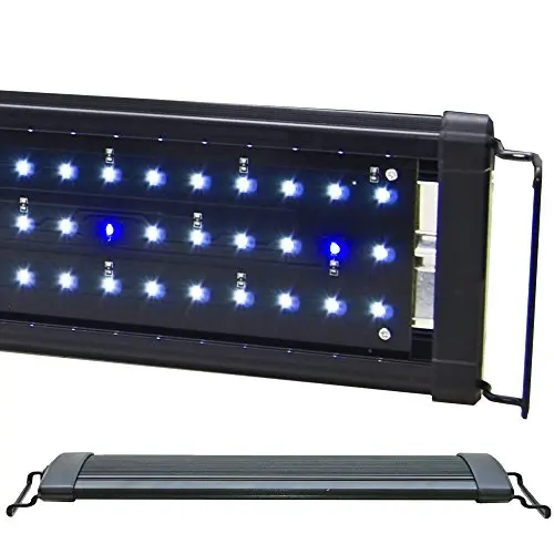 

Beamswork LED 1W HI Lumen Aquarium Light Marine FOWLR Cichlid