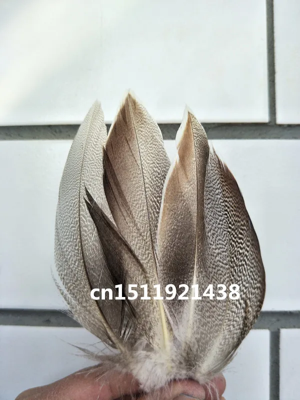 High quality wholesale beatiful 20pcs high quality natural pheasant feathers 5-10cm/2-4inch decorative diy Jewelry accessories