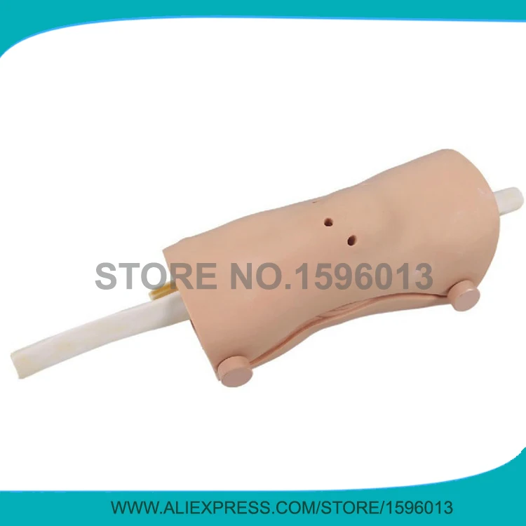 

Advanced Knee Arthroscopy Model, Medical Arthroscopic Examination Training Knee Joint Model