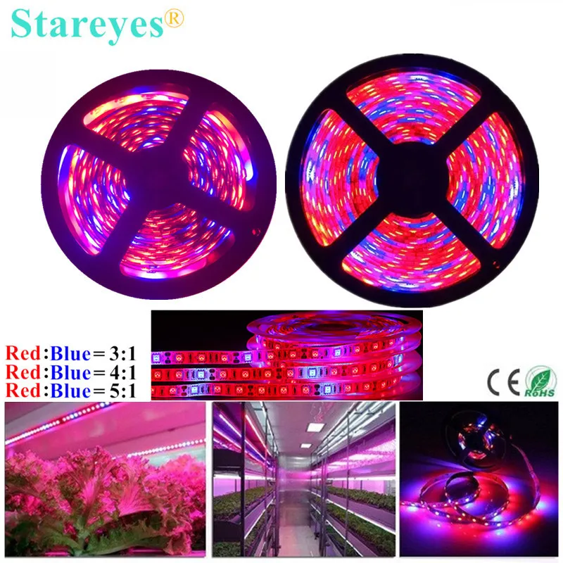 SMD 5050 300 LED 5m LED Strip Plant Light LED Phyto Lamp Full Spectrum LED Fitolampy Grow Light For Greenhouse Hydroponic plant