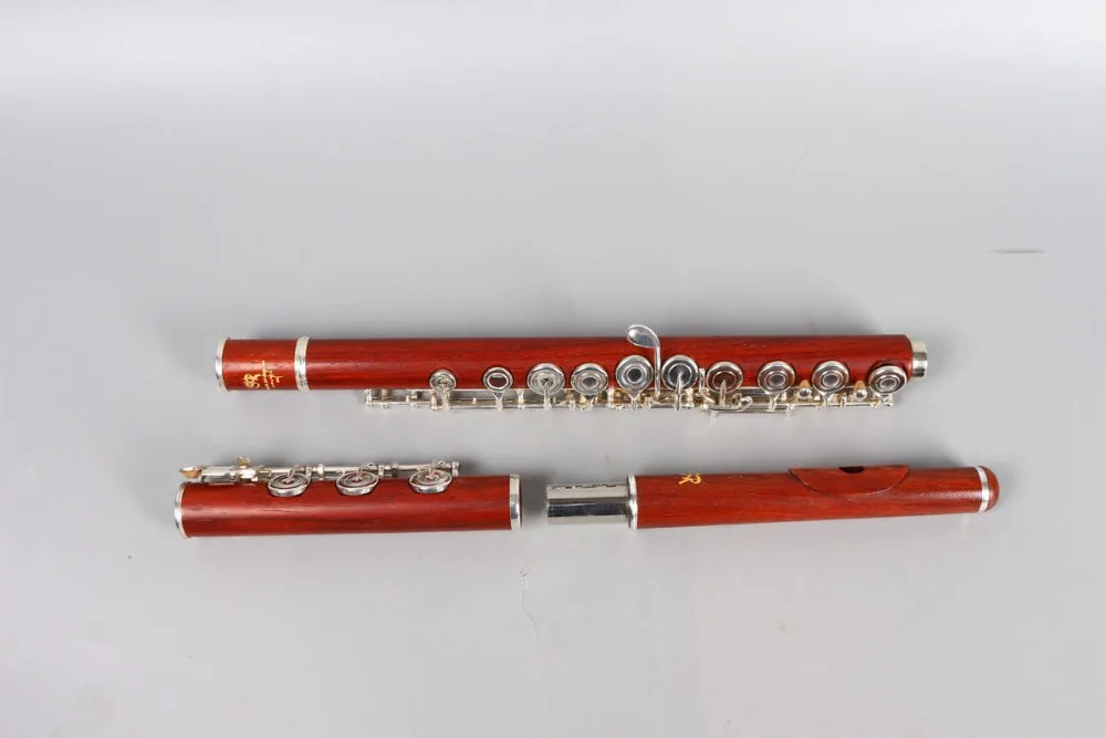 Yinfente New flute 17 hole Open Silver Plated Key E key B Foot Professional rosewood body With Case