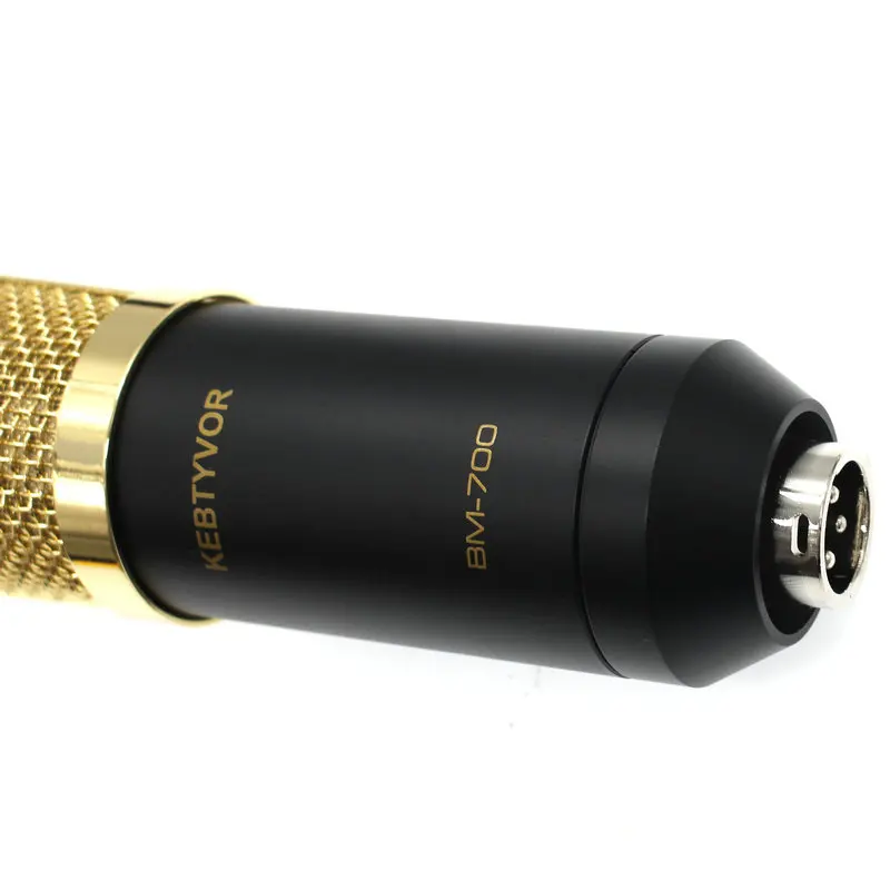 BM-700  Professional Uni-directional Condenser Studio Sound Recording Microphone with Shock Mount and Anti-wind Foam Cap