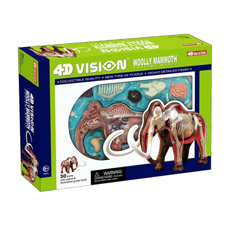 Mammoth 4d master puzzle montagem brinquedo animal biologia órgão anatômico modelo de ensino médico