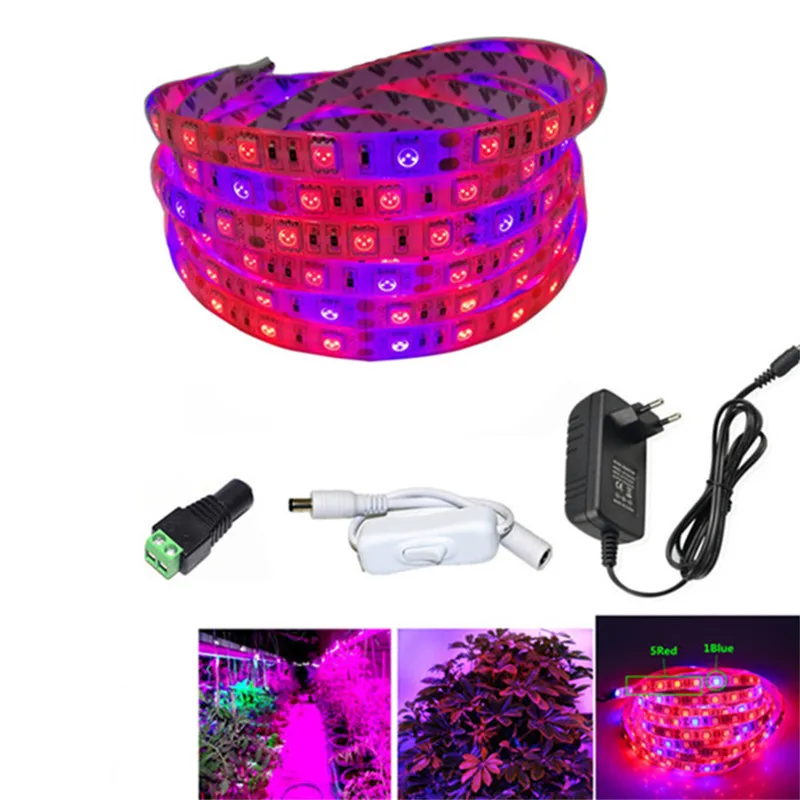 

Plant Grow lights Full Spectrum LED Strip Flower phyto lamp 5m Dimmable Red blue 5:1 for Greenhouse Hydroponic + Power adapter