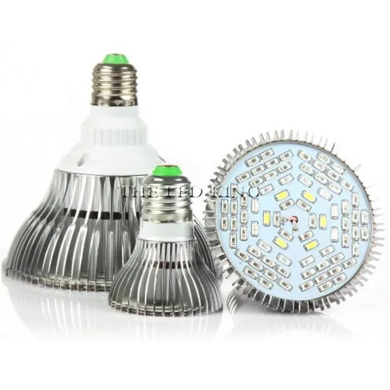 Full Spectrum Led Grow Light 20W/30W/50W/80W/120W Red Blue UV IR Led  Growing Lamp For Hydroponics Flowers Plants Vegetables - AliExpress