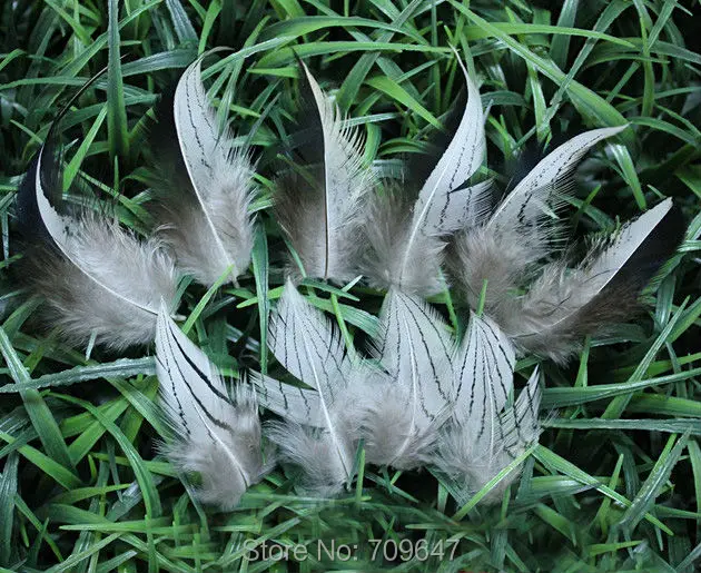 100Pcs/Lot! 5-9cm Pheasant Feathers, Natural Black&white Silver Pheasant Plumage Feathers,Feathers Natural