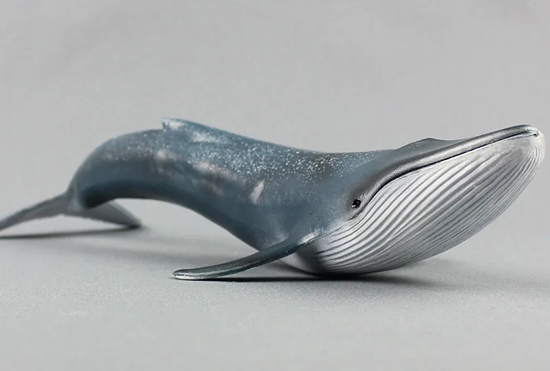 Marine life simulation Pygmy Blue Whale Static Plastic toy model 27x10cm Environmental PVC Cognition prop model toy gift w0598