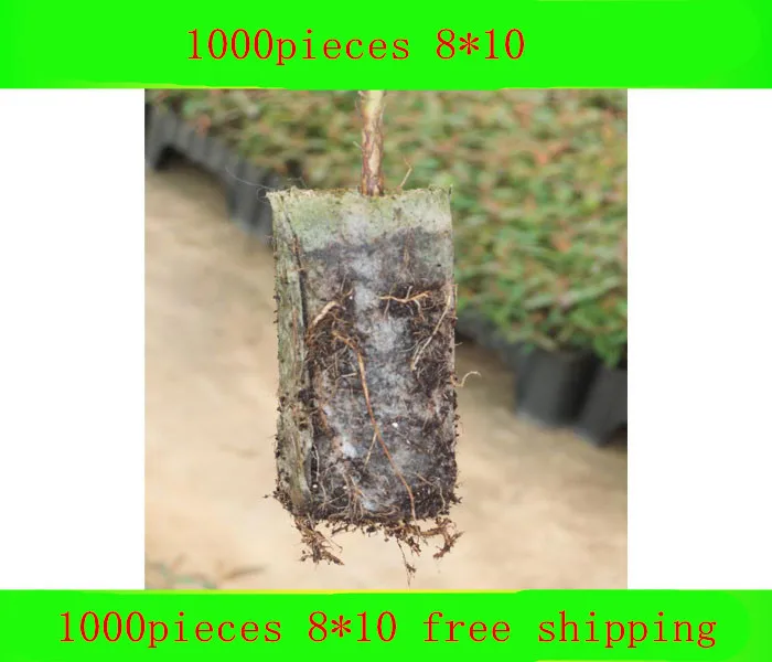 1000pcs degradable environmental grow bags protection bag plant seedlings seedling bag bag non-woven customized wholesale8*10