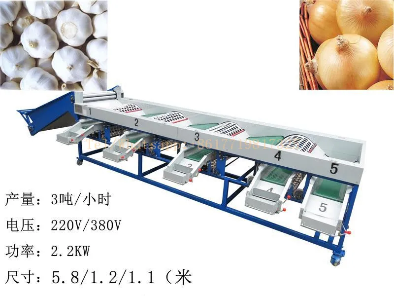 Top Quality Fruit Process Plant/Garlic Sorting Machine/Onion Grading Machine