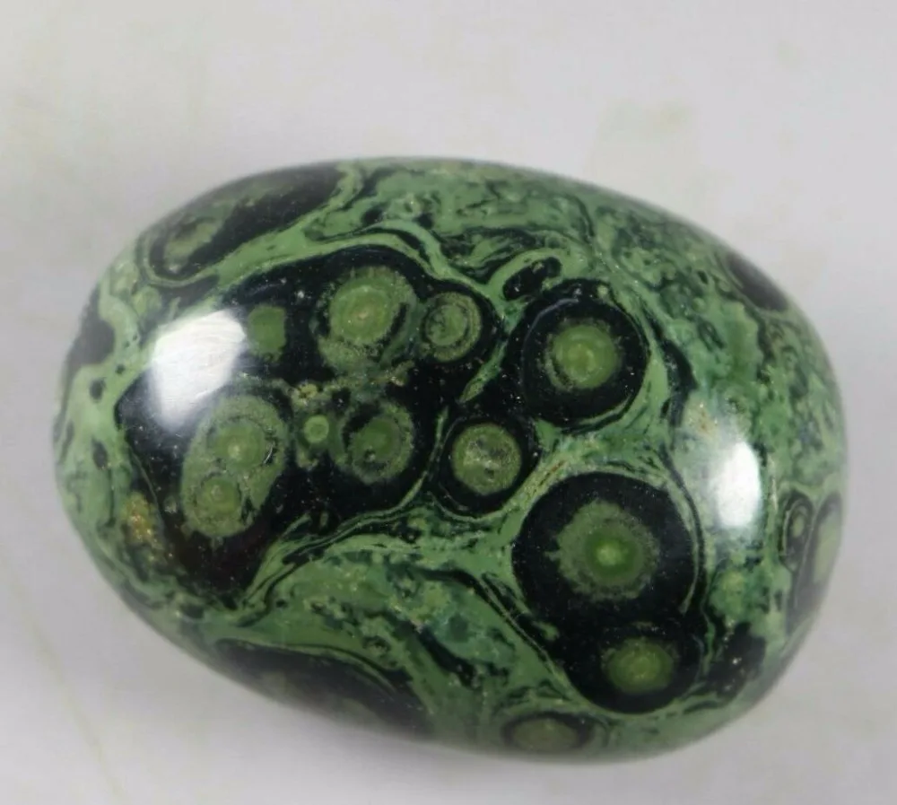 1PCS EYE GREEN KAMBABA JASPER STROMATOLITE FOSSIL Gem Stone Healing