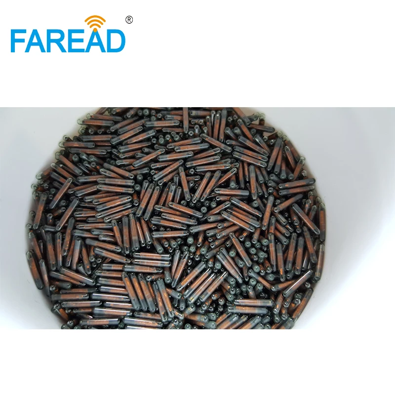 80pcs 1.4*8mm 134.2KHz 애완 동물 ID 태그 EM4305 RFID 마이크로 칩 동물 칩 트랜스 폰더 개를위한 ICAR 번호 코딩 물고기 가축