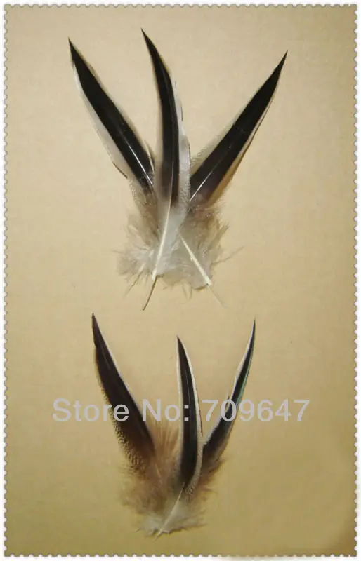 Natural feathers!100PCS/LOT 10-15CM Nature Centre Black Nature Colour Mallard Duck/Drake Feather Tips