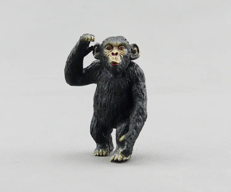 USA AAA brand Africa wild animal toy chimpanzee model