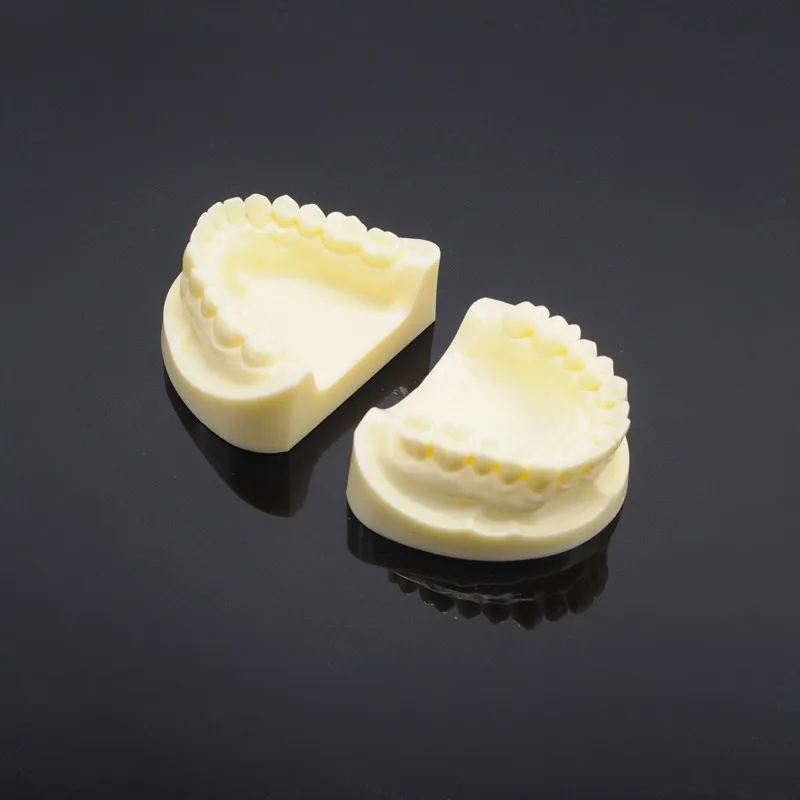 Corundum Tooth Model Teaching Model 1Pcs Color White For Dental Clinic