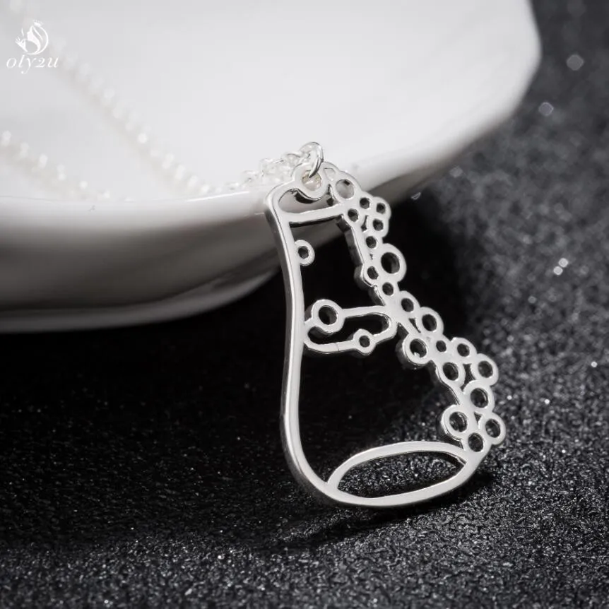 Oly2u Long Pendant Necklace Trendy Erlenmeyer Flask Necklace Potion Bottle Chemistry Laboratory Graduation Gift Conical Flask