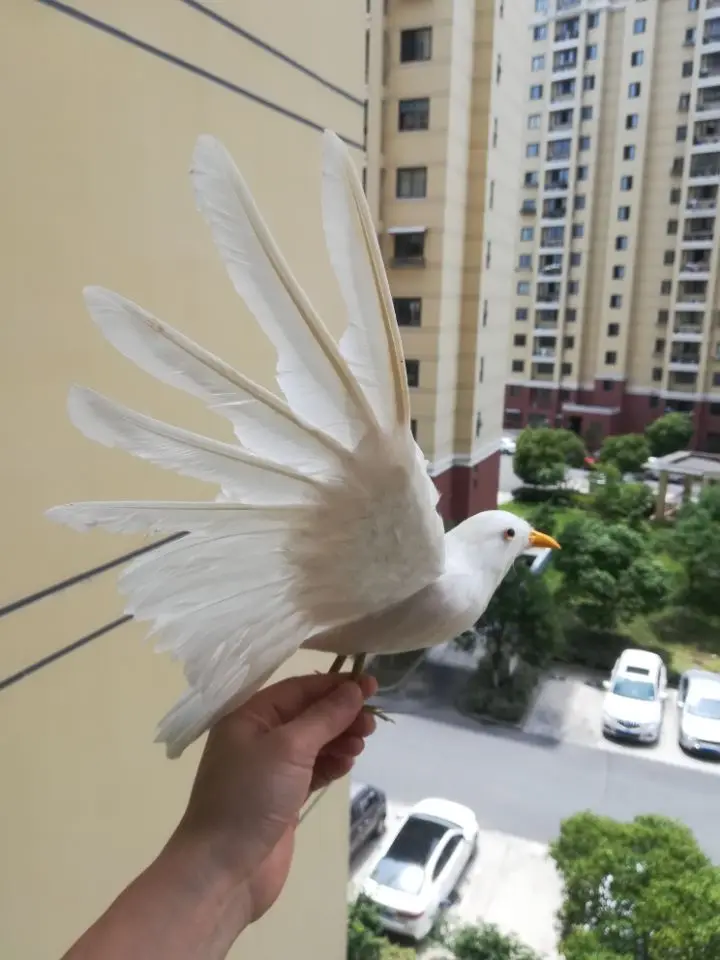 large 30x50cm white feathers dove bird hard model peace bird stage prop craft home garden decoration gift s2633