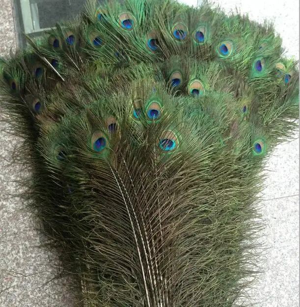 200pcs Feather Peacock TAILS 10