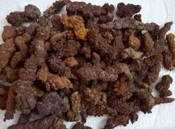 WHOLESALE PRICE! 2.2LB LARGE COPROLITE zed Dinosaur Poop Specimen