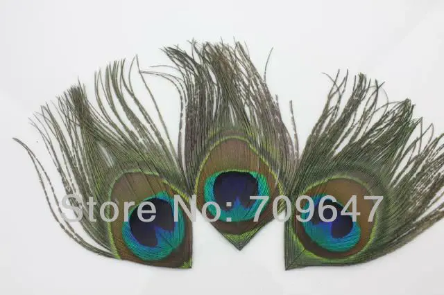 

50PCS/LOT 8-10cm Length Nature Colour Peacock Eye Feathers Nice DIY Materials for Brooch, Hair Ornament etc