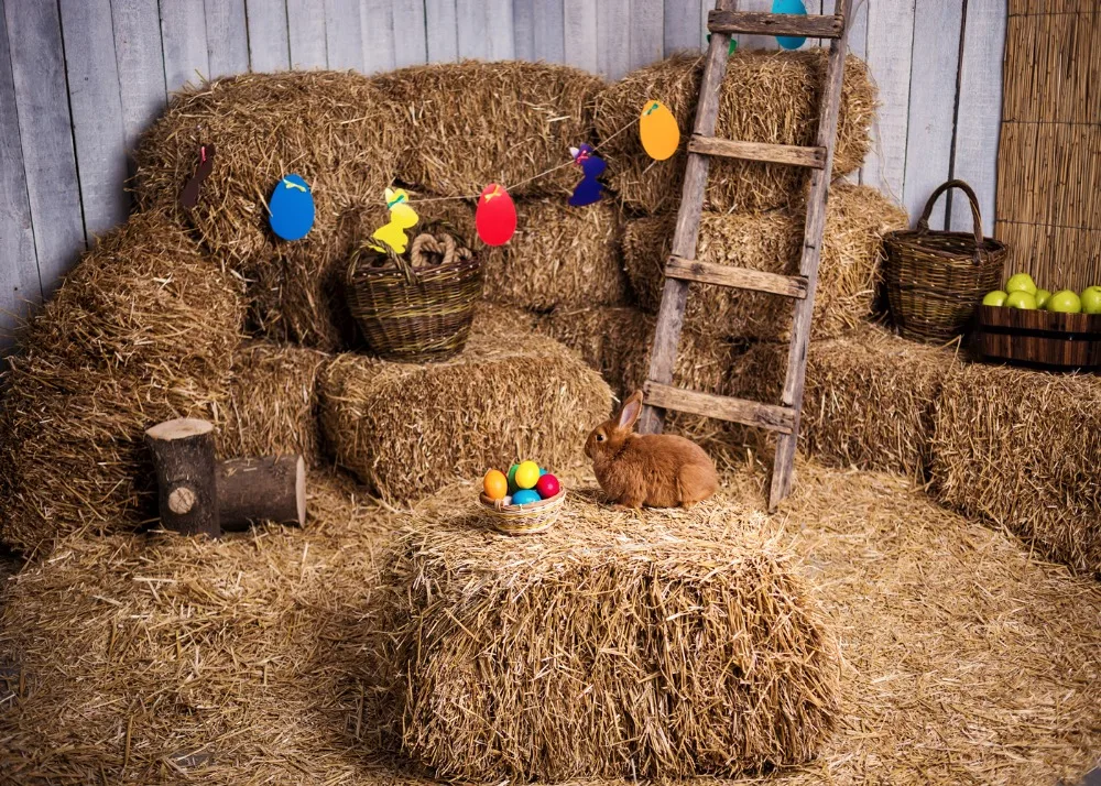 Capisco Farm Haystack Eggs Rabbit Easter Photography Backgrounds Customized Photographic Backdrops Props For Photo Studio