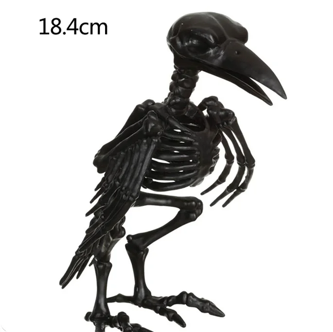 Fantasy Bone Skeleton Crow Raven Animal Skeleton Bones for Horror Halloween Decoration