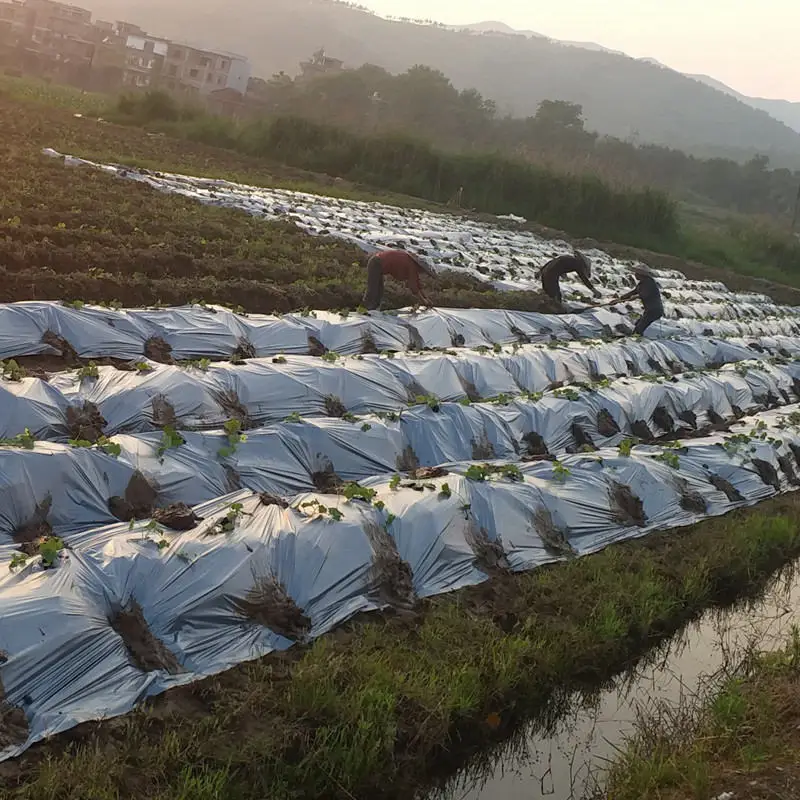 10m 0.012mm Mulch Film PE Silver Black Plastic Mulch Garden Ground Cover Film Frost Protection Keep Warm Weed Control
