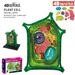 4D Plant cell Intelligence Assembling Toy Human Organ Anatomy Model Medical Teaching DIY Popular Science Appliances