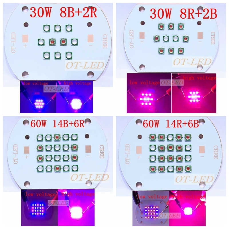 30W 50W60W Plant Grow LED light Original XPE Chips Diode Lamp 660nm red 450NM Royal Blue for indoor garden Fruit Growing Seeding