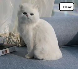 big real life sitting white cat model plastic&furs cute cat gift about 26x19x14cm xf1444